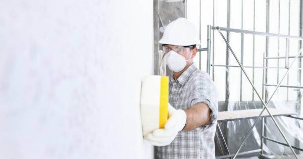 Best Commercial Mold Inspection  in East Camden, AR